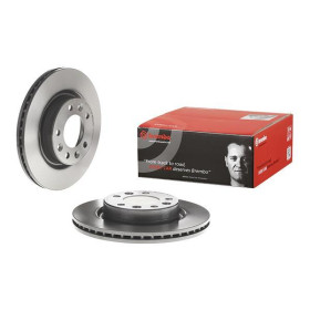 BREMBO Brzdový kotúč vetraný Ø266mm  09.C657.11_thumb2