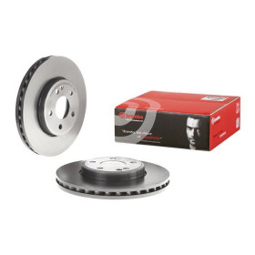 BREMBO Brzdový kotúč vetraný Ø295mm  09.B436.41_thumb2