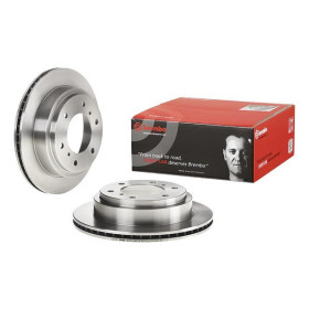 BREMBO Brzdový kotúč vetraný Ø300mm  09.A450.11_thumb2