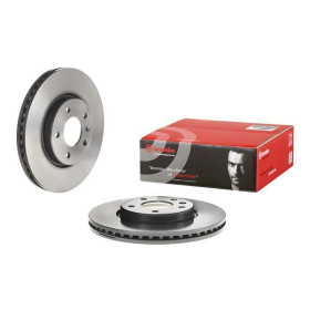 BREMBO Brzdový kotúč vnutorne chladene Ø300mm  09.B356.31_thumb2