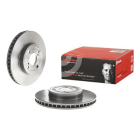 BREMBO Brzdový kotúč vetraný Ø255mm  09.9824.11_thumb2