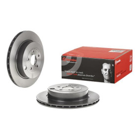 BREMBO Brzdový kotúč vnutorne chladene Ø316mm  09.A198.21_thumb2