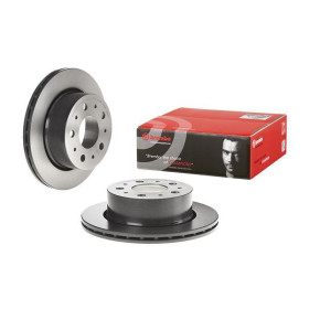 BREMBO Brzdový kotúč vetraný Ø300mm  09.C663.11_thumb2