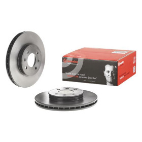 BREMBO Brzdový kotúč vetraný Ø256mm  09.C171.11_thumb2