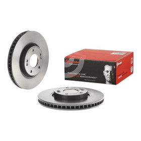 BREMBO Brzdový kotúč vnutorne chladene Ø300mm  09.D210.11_thumb2