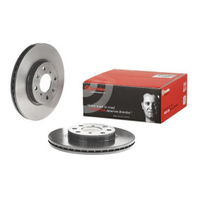 BREMBO Brzdový kotúč vetraný Ø252mm  09.A271.11_thumb3