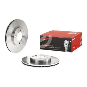 BREMBO Brzdový kotúč vetraný Ø256mm  09.5166.11_thumb2