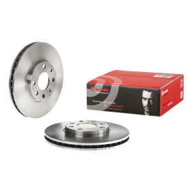 BREMBO Brzdový kotúč vetraný Ø256mm  09.7628.11_thumb2