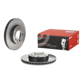 BREMBO Brzdový kotúč vnutorne chladene Ø256mm  09.D570.11_thumb2