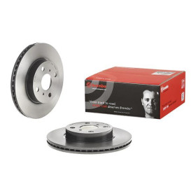 BREMBO Brzdový kotúč vetraný Ø255mm  09.B508.11_thumb2