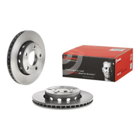 BREMBO Brzdový kotúč vetraný Ø256mm  09.A597.11_thumb2