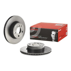 BREMBO Brzdový kotúč vnutorne chladene Ø294mm  09.D113.11_thumb2