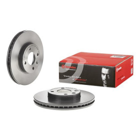 BREMBO Brzdový kotúč vnutorne chladene Ø256mm  09.D426.11_thumb2