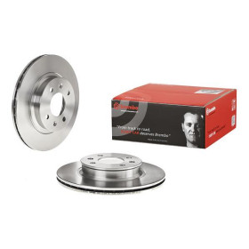 BREMBO Brzdový kotúč vetraný Ø256mm  09.B594.10_thumb2