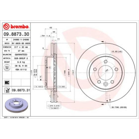 BREMBO Brzdový kotúč vetraný Ø317mm  09.8873.31_thumb2