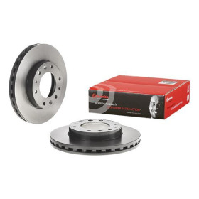 BREMBO Brzdový kotúč vnutorne chladene Ø299mm  09.D431.11_thumb2