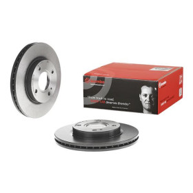 BREMBO Brzdový kotúč vetraný Ø258mm  09.A968.21_thumb2