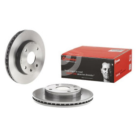 BREMBO Brzdový kotúč vetraný Ø256mm  09.9483.11_thumb2