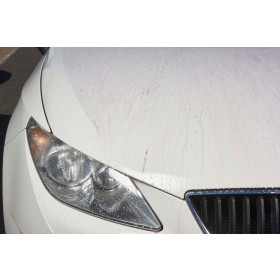 AUTOGLYM Liquid Clay (AUTOGLYM Magma) - Odstraňovač náletovej hrdze 5L_thumb6