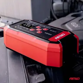 AMIO Nabíjačka digitálna AGM GEL STD LiFePo4 MAX 8A 12/24V PRO HOOK_thumb5