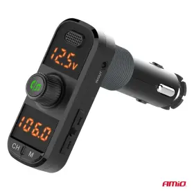 FM transmitter