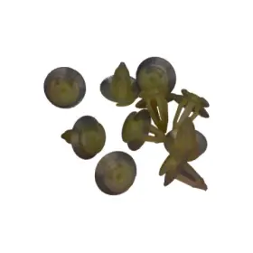 product-image-233597-card