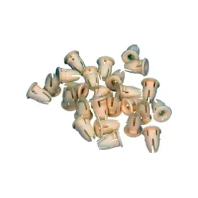 product-image-233954-card