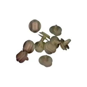 product-image-234953-card