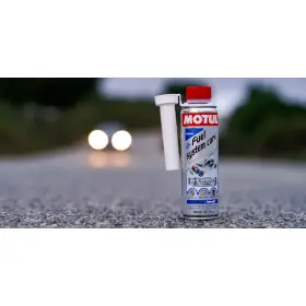 Prečistenie benzínového palivového systému