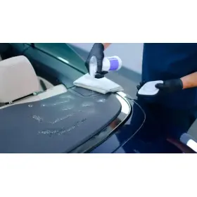 Plasty