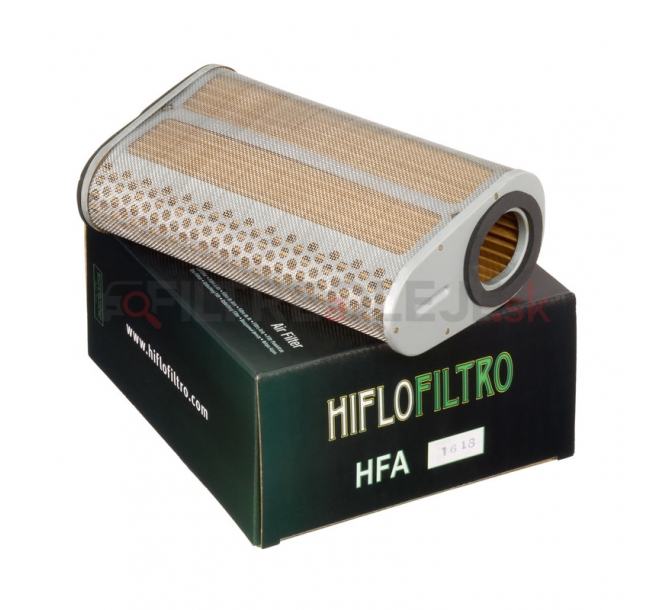 HFA1618 Air Filter 2015_03_23-scr.jpg