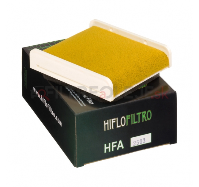HFA2503 Air Filter 2015_03_25-scr.jpg